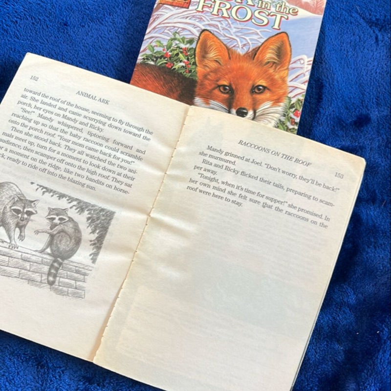 BOOK BUNDLE: Fox in the Frost and Raccoons on the Roof