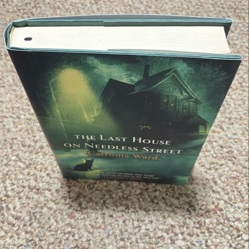 The Last House on Needless Street