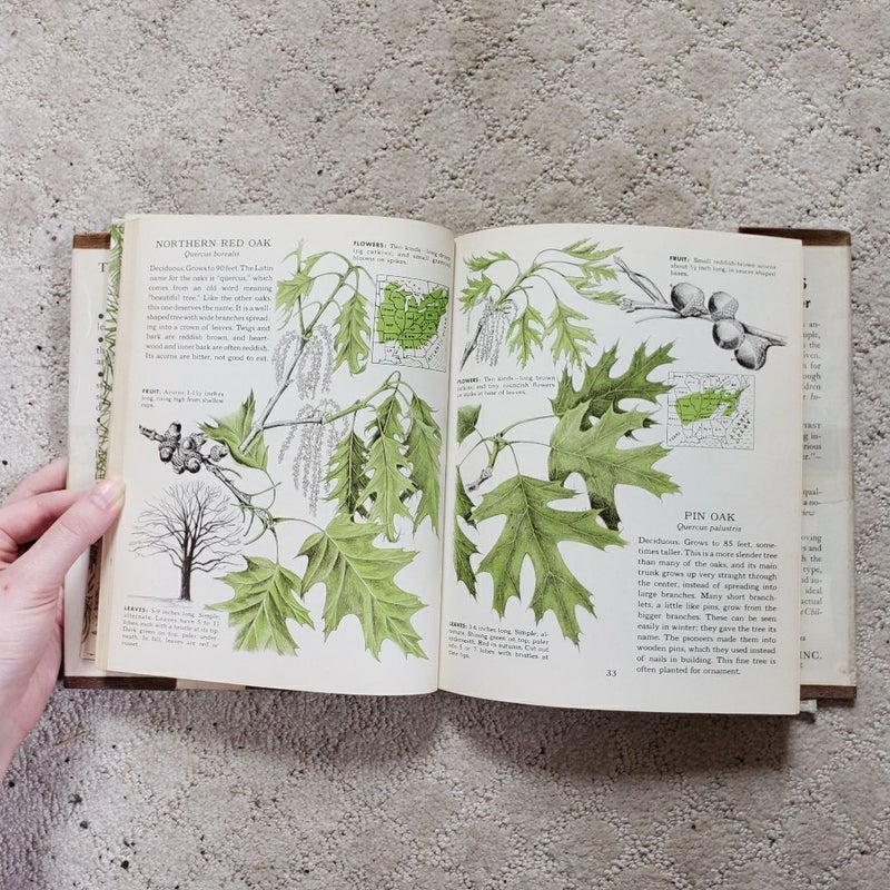 The First Book of Trees (8th Printing, 1951)