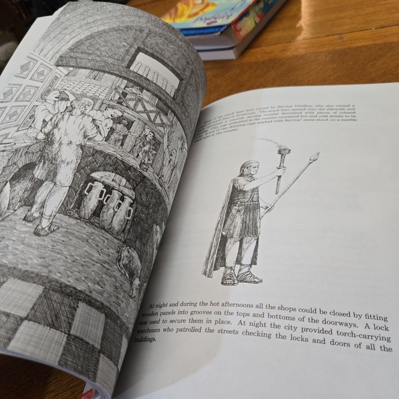 City, A Story of Roman Planning and Construction 