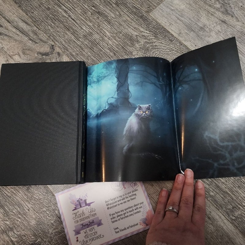 The Iron Sword FairyLoot Julia Kagawa Iron Fey Evenfall by Julia Kagawa