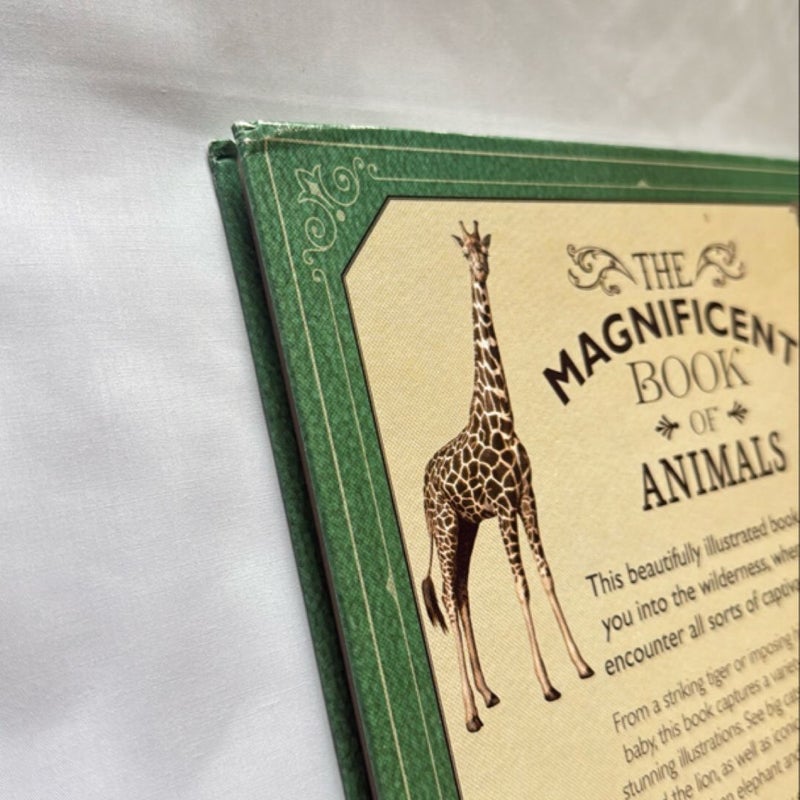 The Magnificent Book of Animals