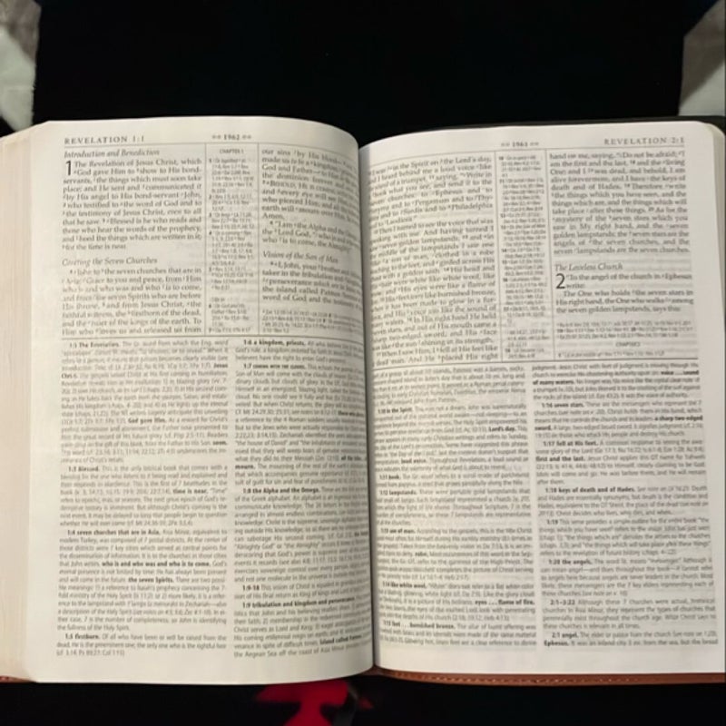 MacArthur Study Bible