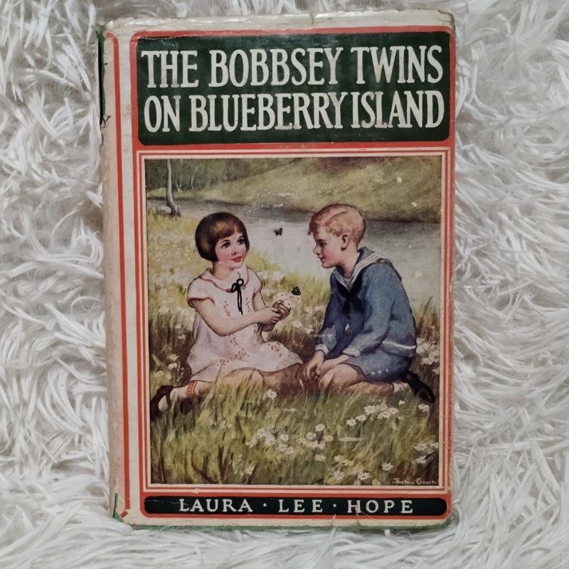 BUNDLE: The Bobbsey Twins 