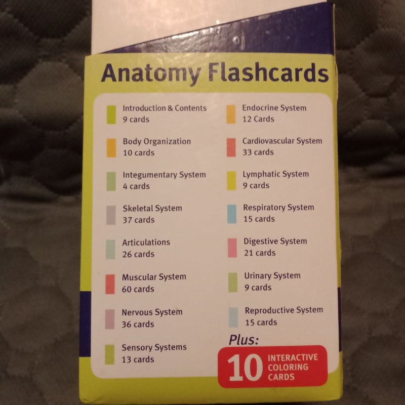 Anatomy Flashcards