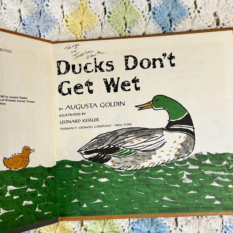 Ducks don’t get wet 