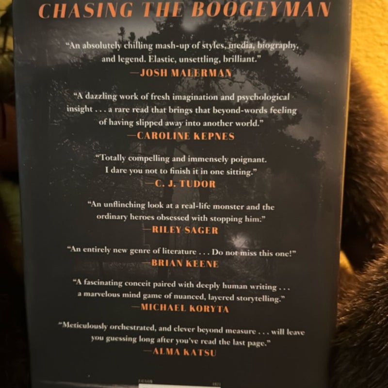 Chasing the Boogeyman
