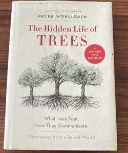 The Hidden Life of Trees