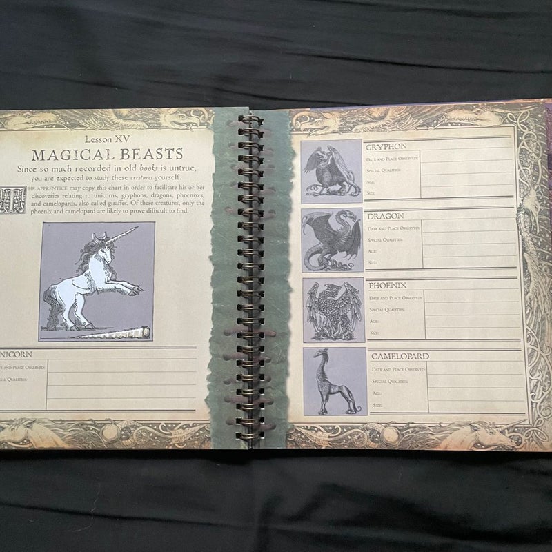 The Wizardology Handbook