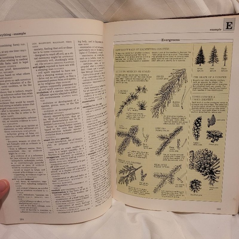 Illustrated Reverse Dictionary by John Ellison Kahn, Hardcover | Pangobooks