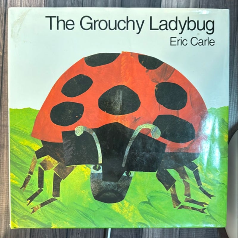 The Grouchy Ladybug 