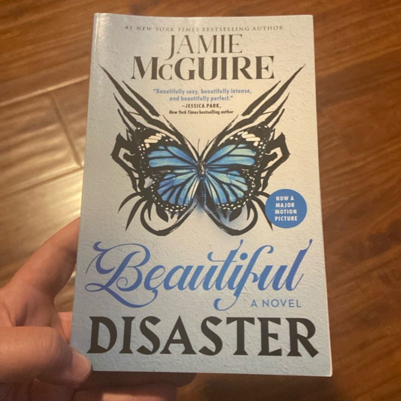 Beautiful Disaster
