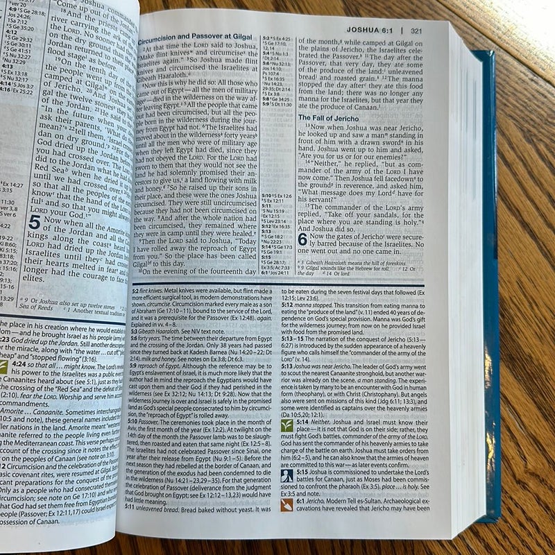 NIV Study Bible