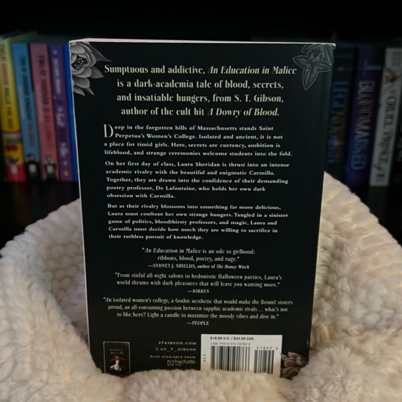 An Education in Malice