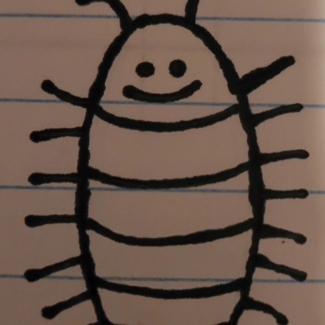 The Doodlebug Collective