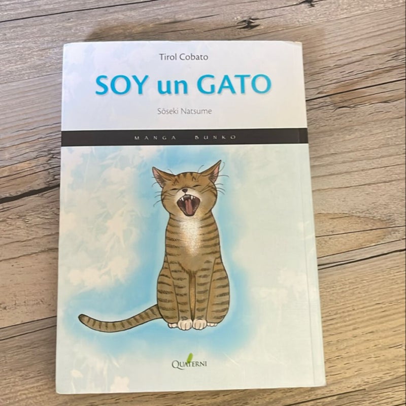 Soy un Gato