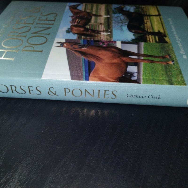 A Pocket Guide to Horses and Ponies