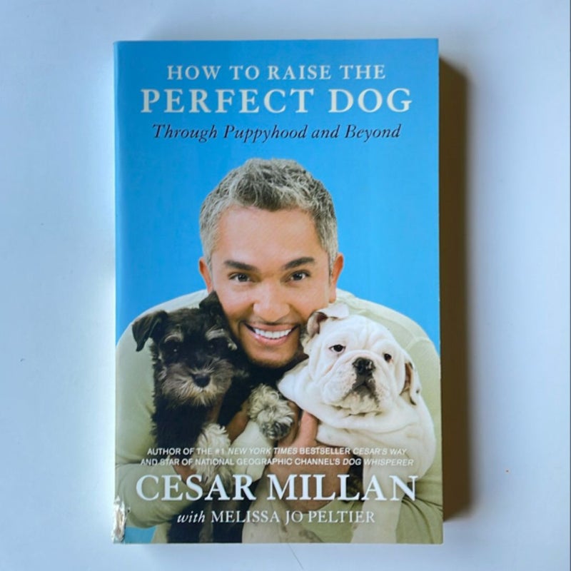 How to Raise the Perfect Dog