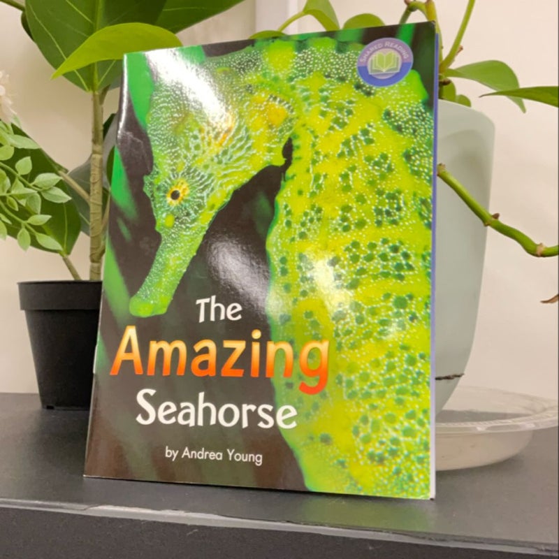 The Amazing Seahorse