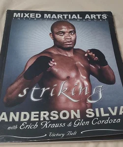 Anderson Silva Striking 