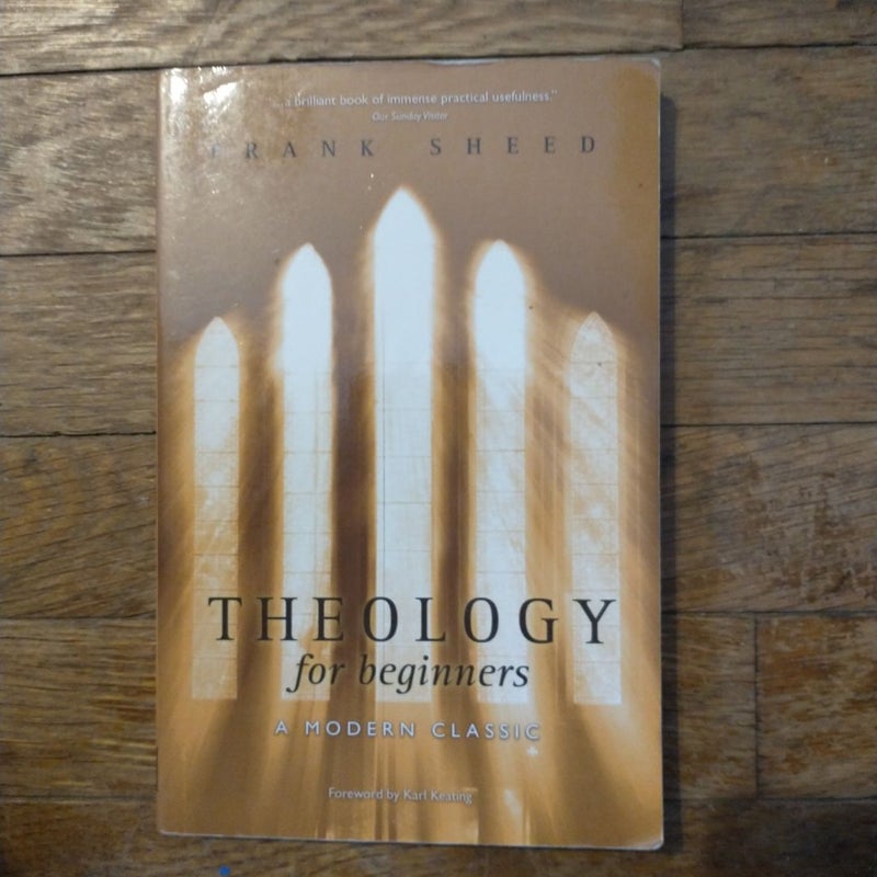 Theology for Beginners