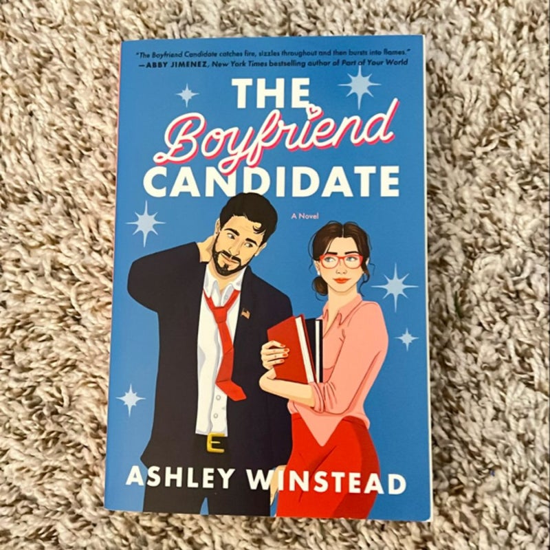 The Boyfriend Candidate