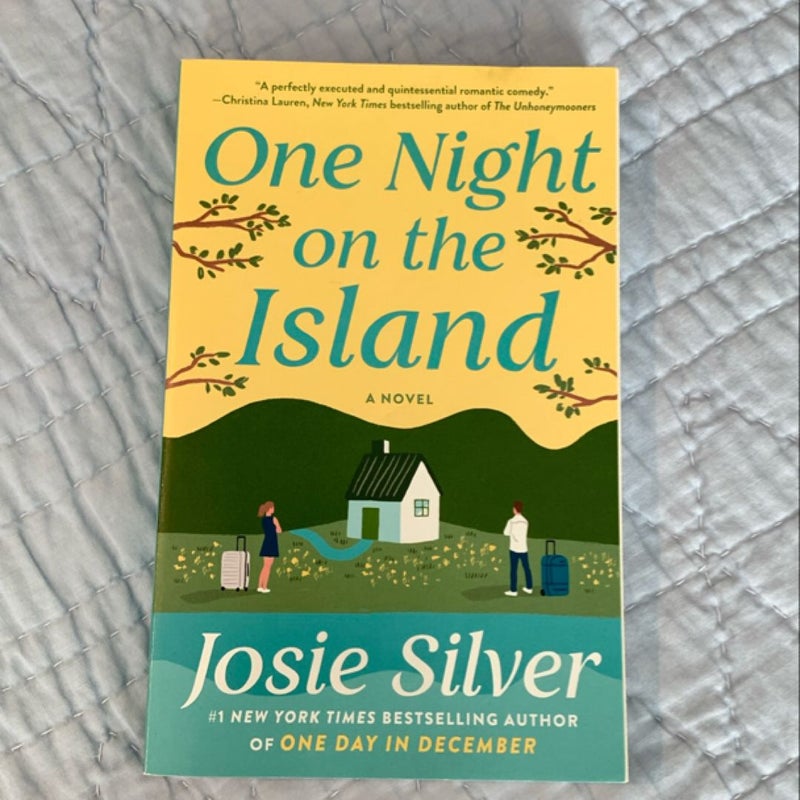 One Night on the Island