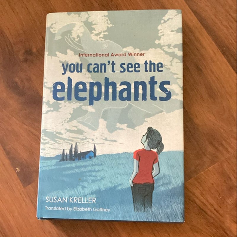 You Can't See the Elephants