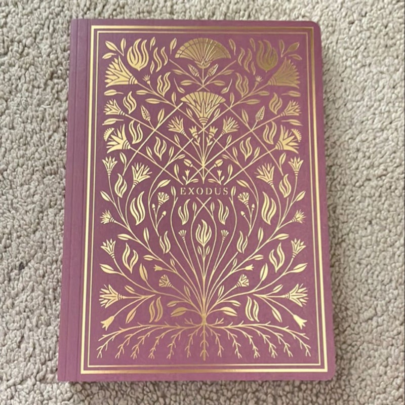 ESV Illuminated Scripture Journal