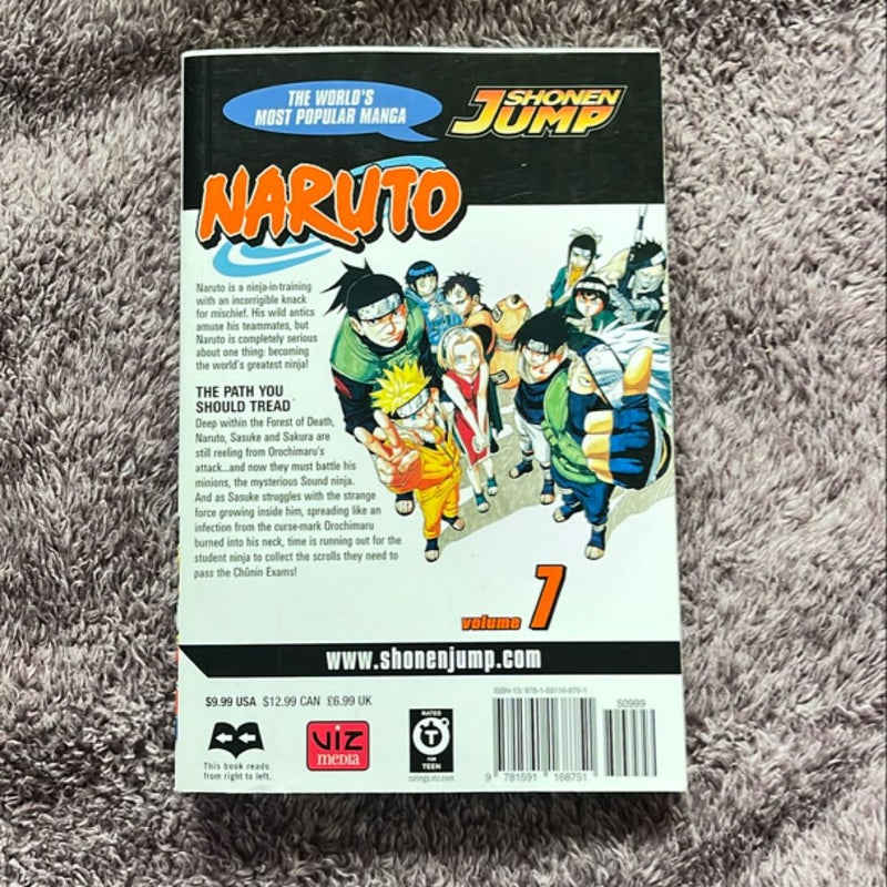 Naruto, Vol. 7