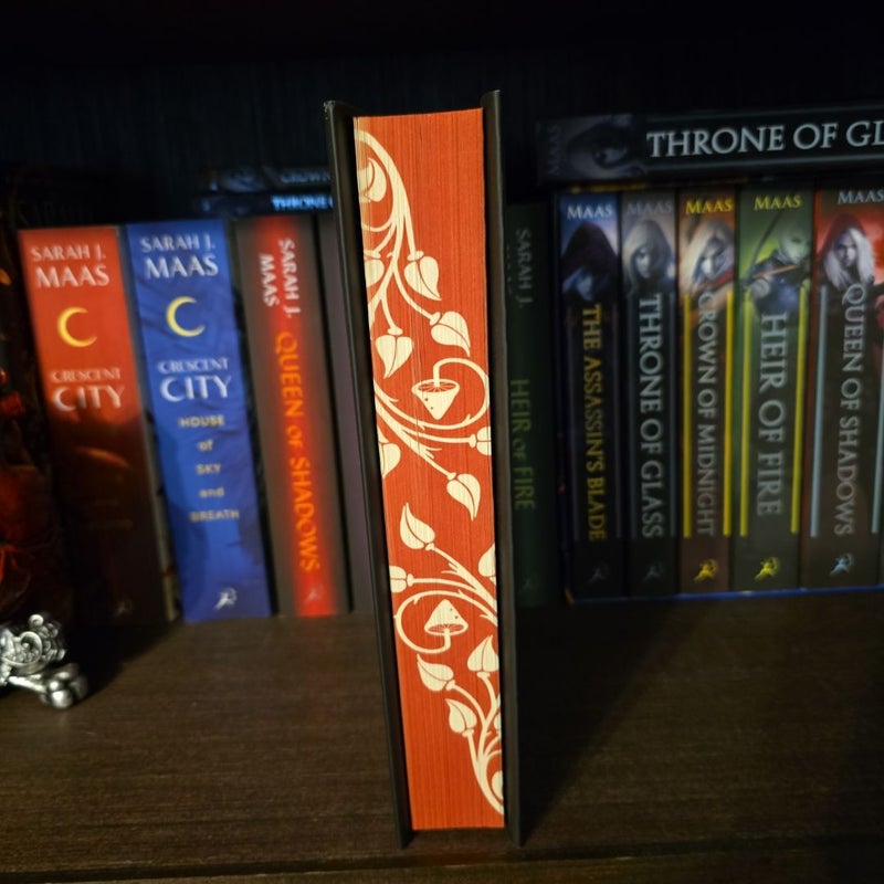 The Last One (Deluxe Limited Edition)