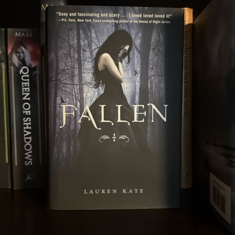 Fallen Series