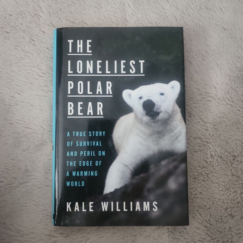 The Loneliest Polar Bear