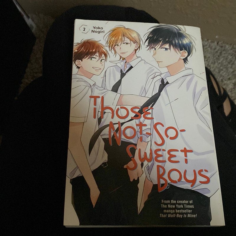 Those Not-So-Sweet Boys 2