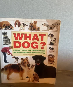 What Dog?