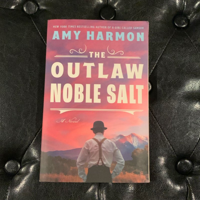 The Outlaw Noble Salt