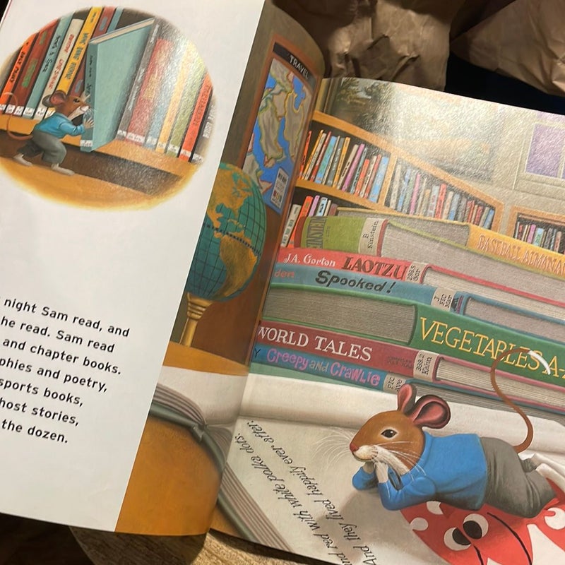 Library Mouse 