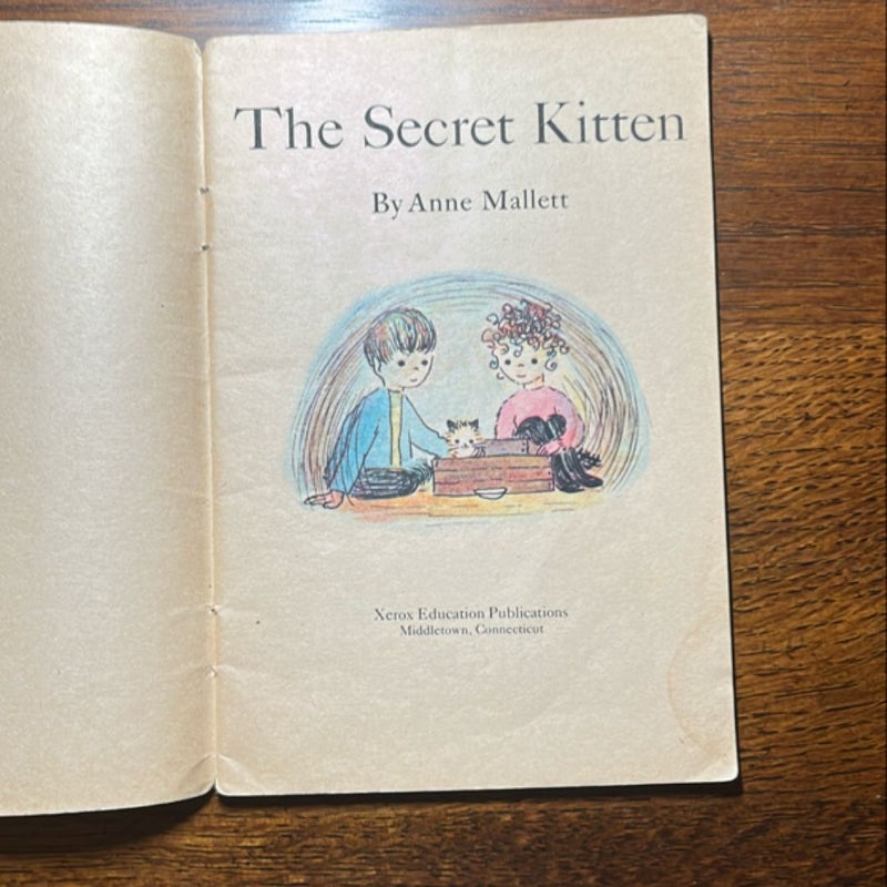 The Secret Kitten