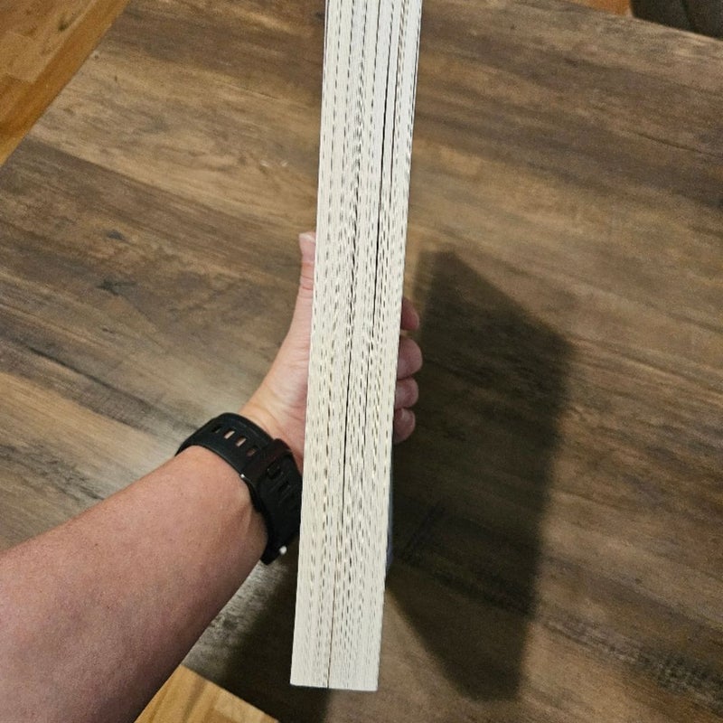 A Thousand Broken Pieces
