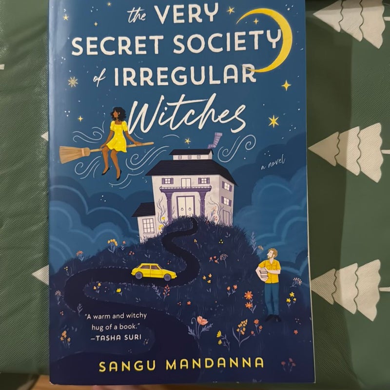 The Very Secret Society of Irregular Witches