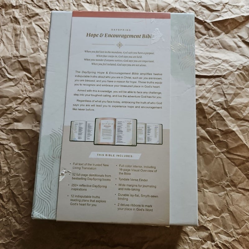 NLT DaySpring Hope and Encouragement Bible (Hardcover Deluxe, Seafoam Green)