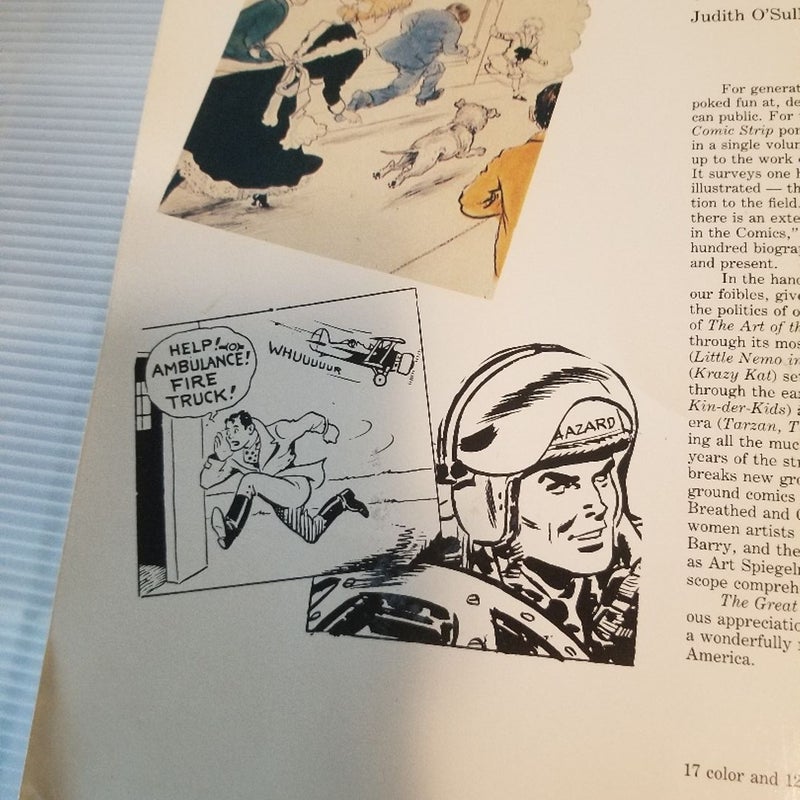 The great American Comic strip 