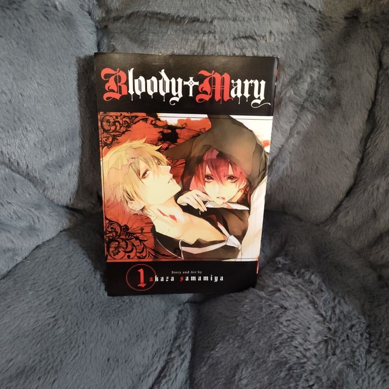 Bloody Mary, Vol. 1