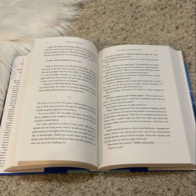 The View from Lake Como