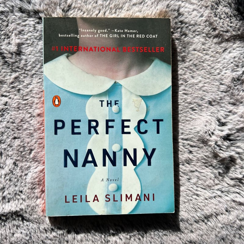 The Perfect Nanny