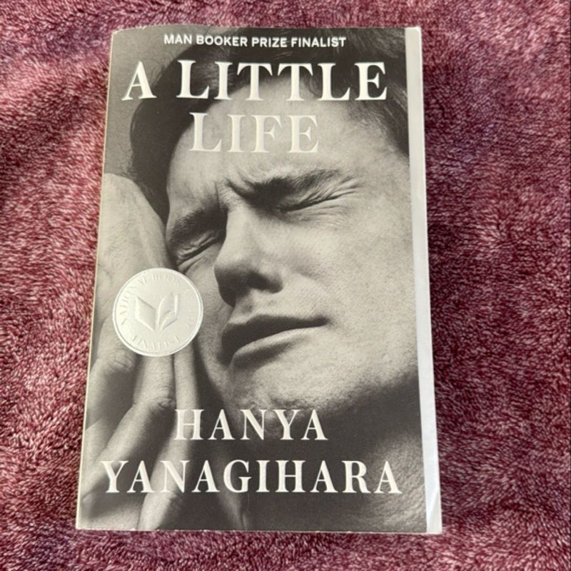 A Little Life