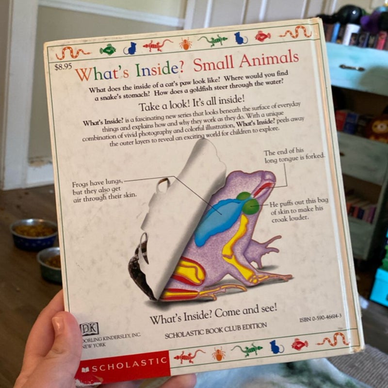 What’s Inside?