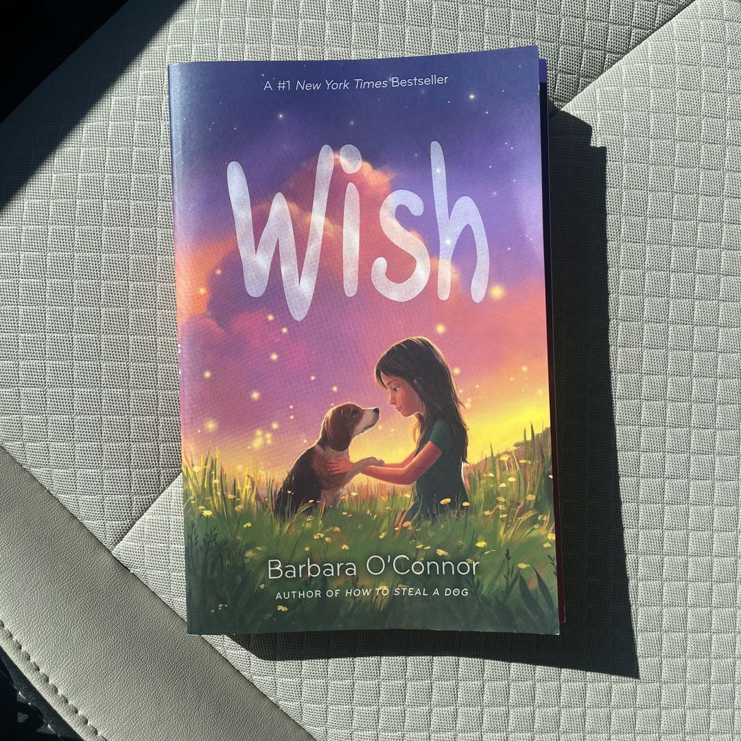 Wish: O'Connor, Barbara: 9781250144058: : Books