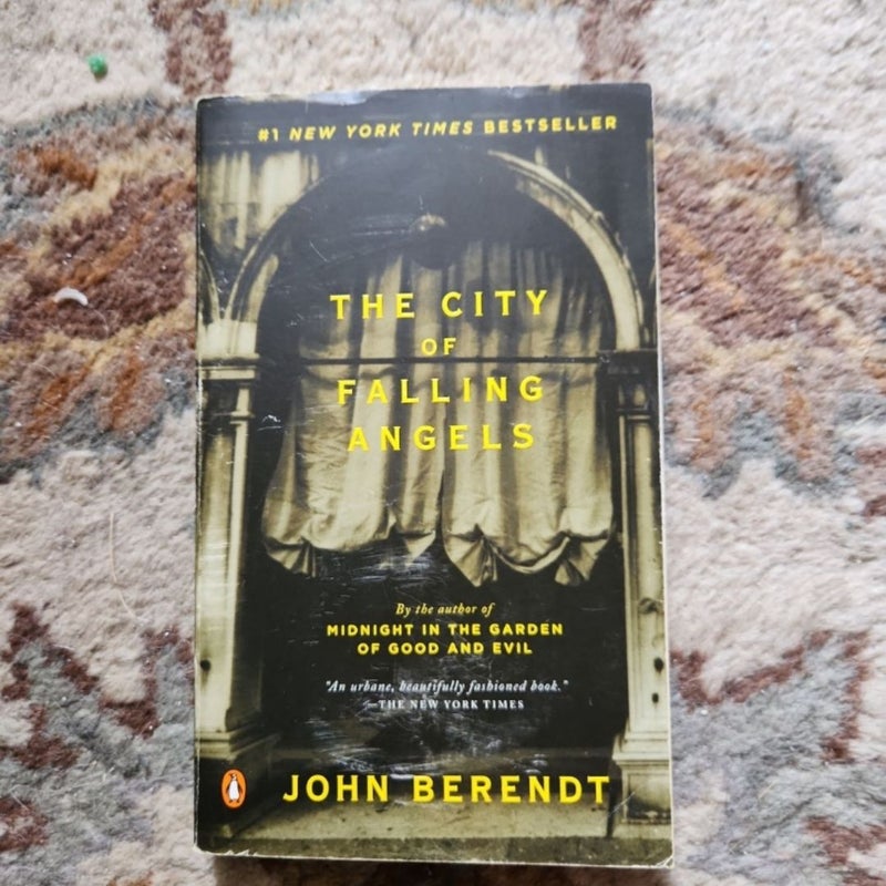 The City of Falling Angels