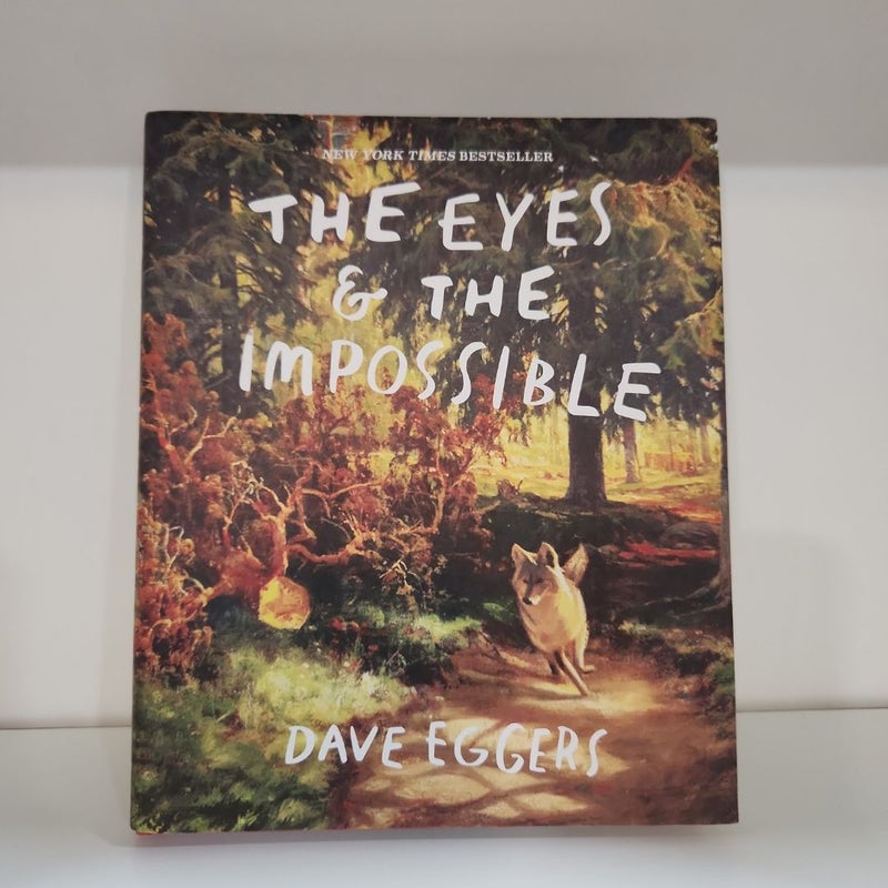 The Eyes and the Impossible